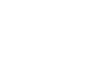 Nexus Store